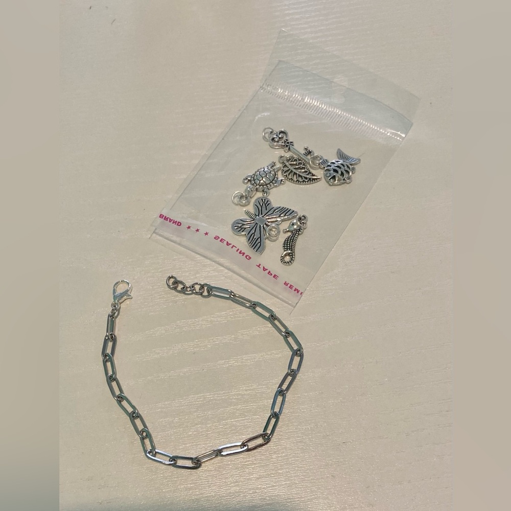 Silver Bracelet with 6 pack Charms